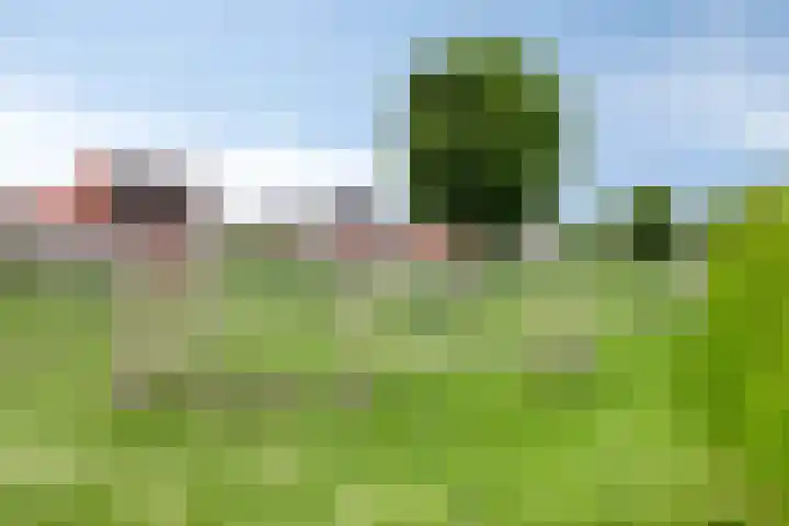 Kromsteven 3 Sint-Annaland thumbnail 67