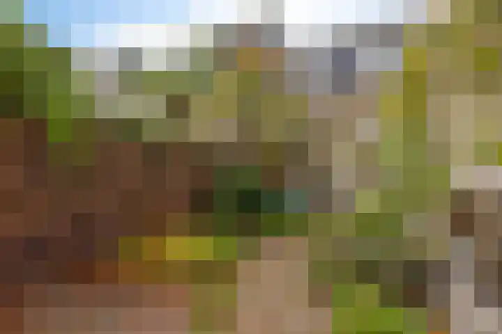 Kromstevenwerf 52 Leiden thumbnail 19