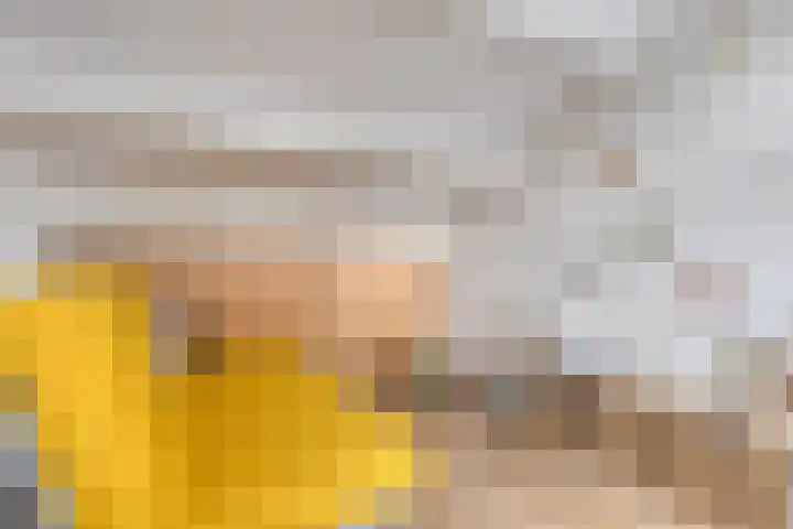 Kromstevenwerf 52 Leiden thumbnail 34