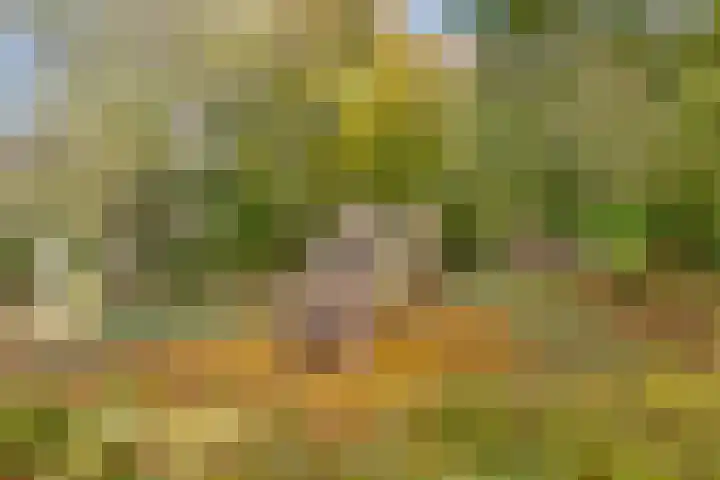 Kromstevenwerf 52 Leiden thumbnail 35