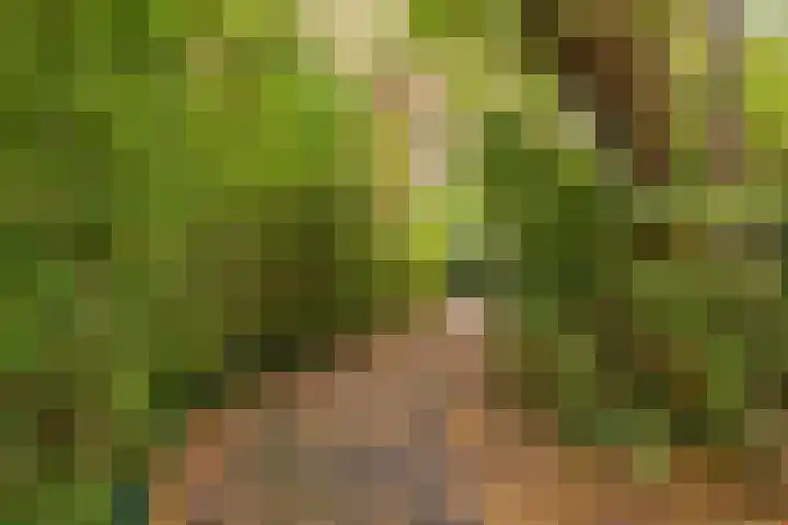 Kromstevenwerf 52 Leiden thumbnail 37