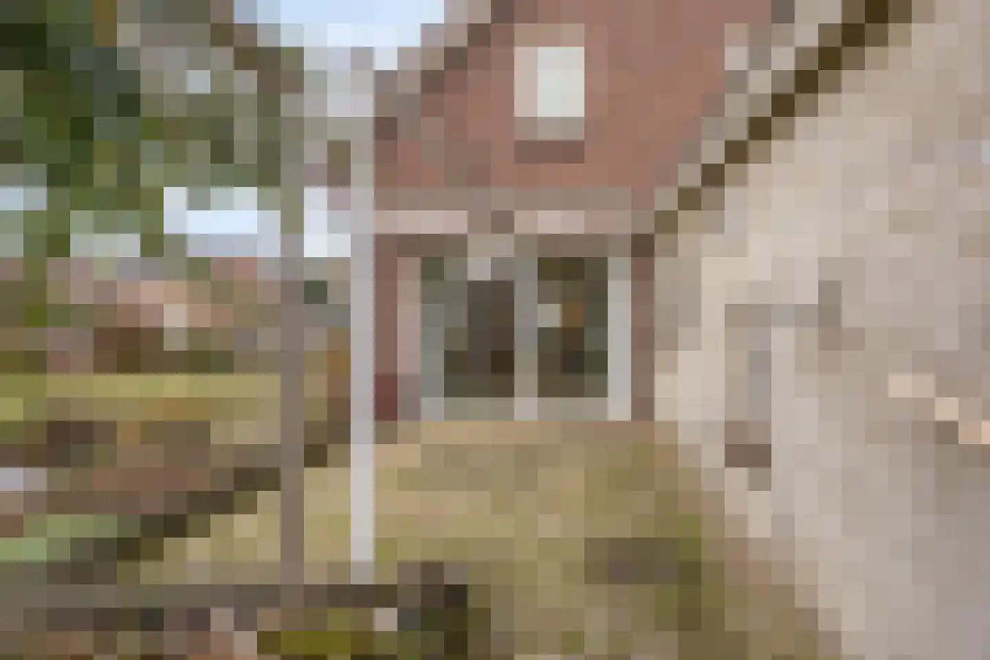Kromstraat 10 Nistelrode thumbnail 34
