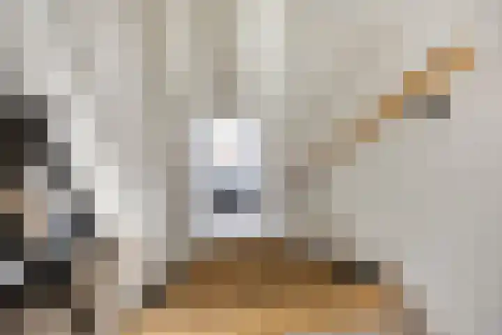 Kromstraat 118 B Oss thumbnail 7