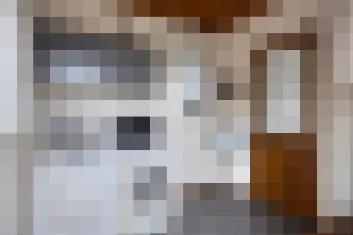 Kromstraat 144 Oss thumbnail 17