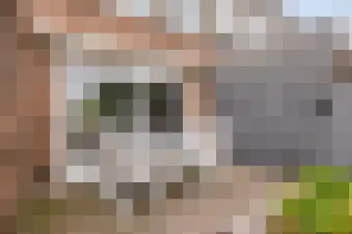Kromstraat 144 Oss thumbnail 31