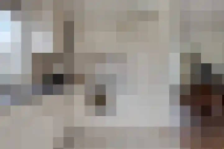 Kromstraat 150 Oss thumbnail 15