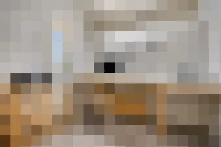 Kromstraat 150 Oss thumbnail 20