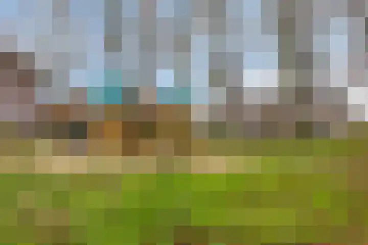 Kromstraat 150 Oss thumbnail 24