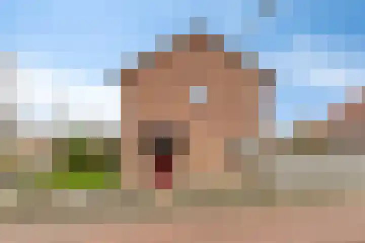 Kromstraat 150 Oss thumbnail 6