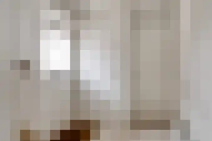 Kromstraat 150 Oss thumbnail 7