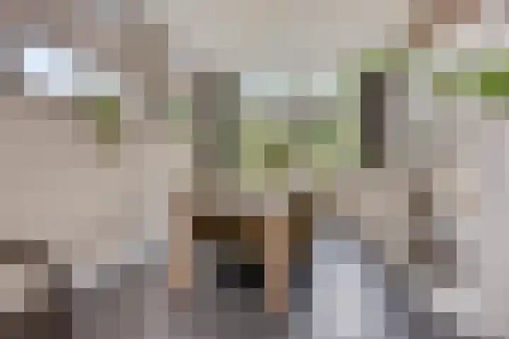 Kromstraat 33 Oss thumbnail 10