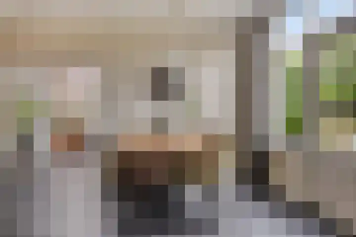 Kromstraat 33 Oss thumbnail 12