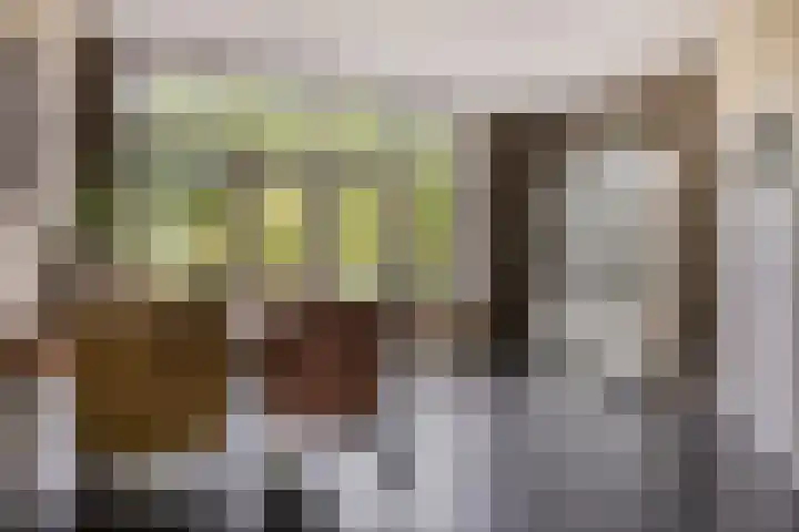 Kromstraat 33 Oss thumbnail 13