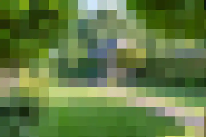 Kromstraat 33 Oss foto 2