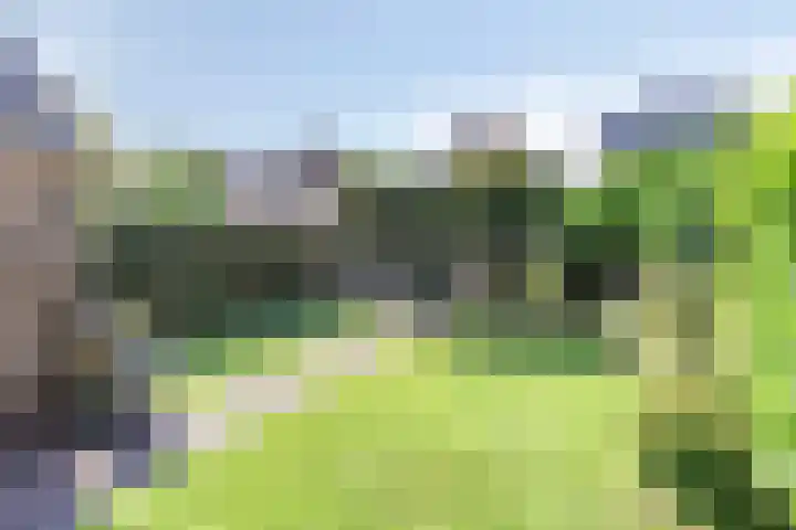 Kromstraat 33 Oss thumbnail 29