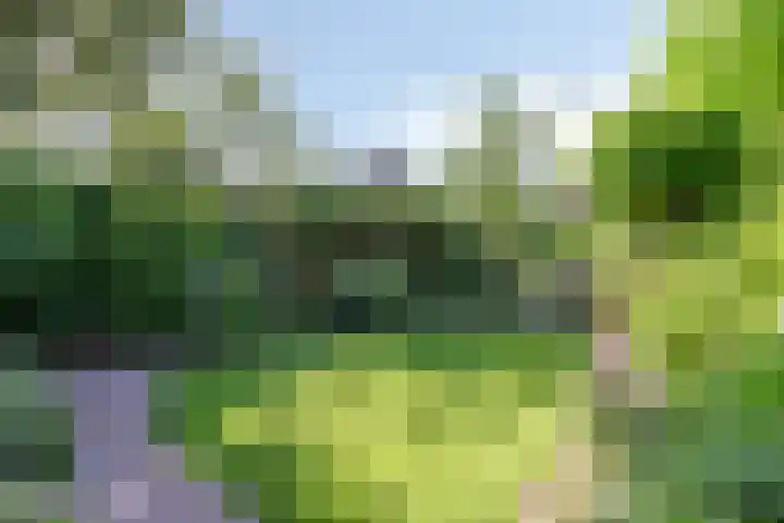 Kromstraat 33 Oss thumbnail 33