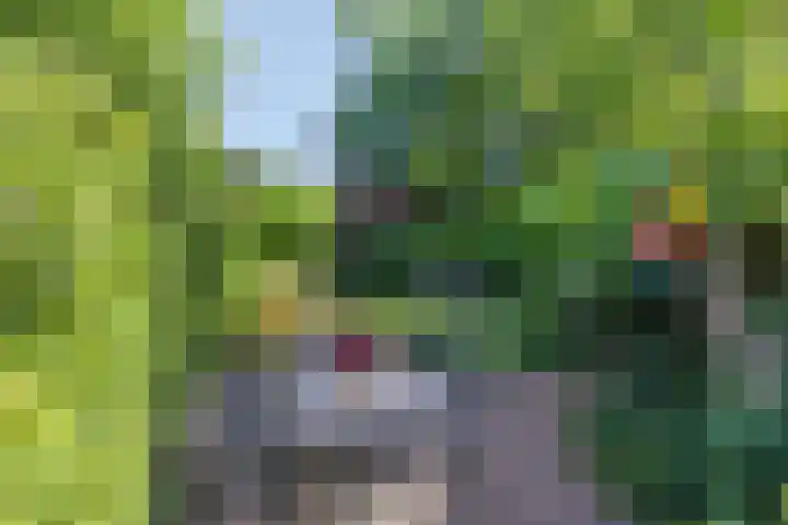 Kromstraat 33 Oss thumbnail 36
