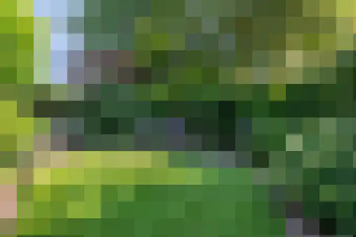 Kromstraat 33 Oss thumbnail 37