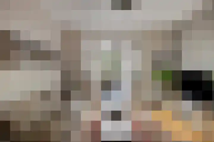 Kromstraat 33 Oss thumbnail 4