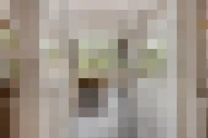 Kromstraat 33 Oss thumbnail 5