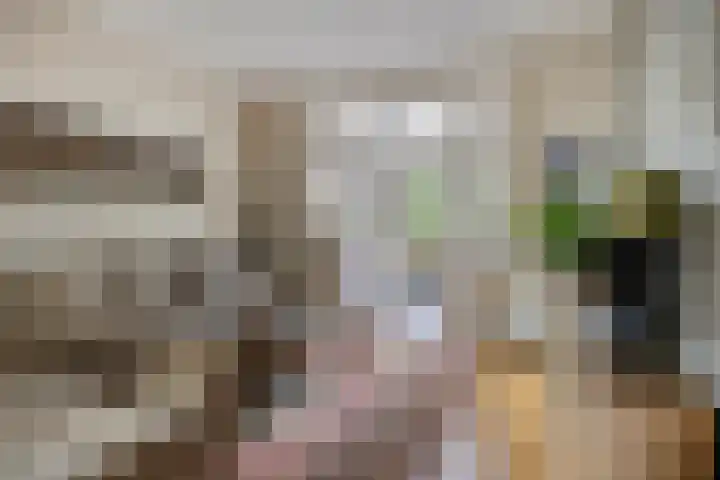 Kromstraat 33 Oss thumbnail 6