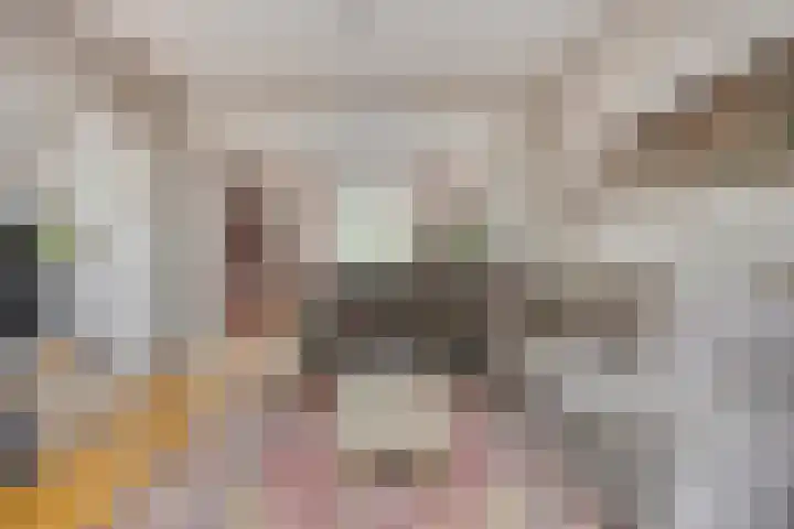 Kromstraat 33 Oss thumbnail 8