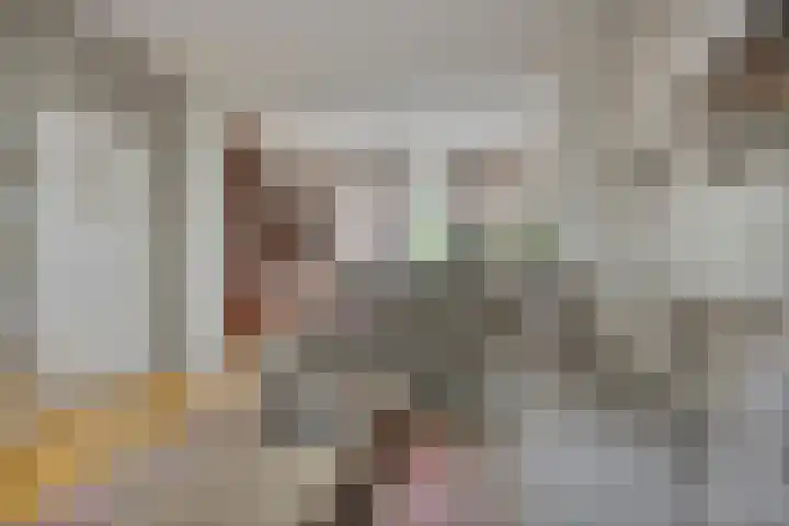 Kromstraat 33 Oss thumbnail 9