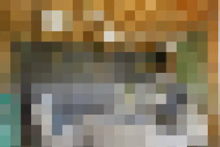Kromstraat 34 Nistelrode thumbnail 43