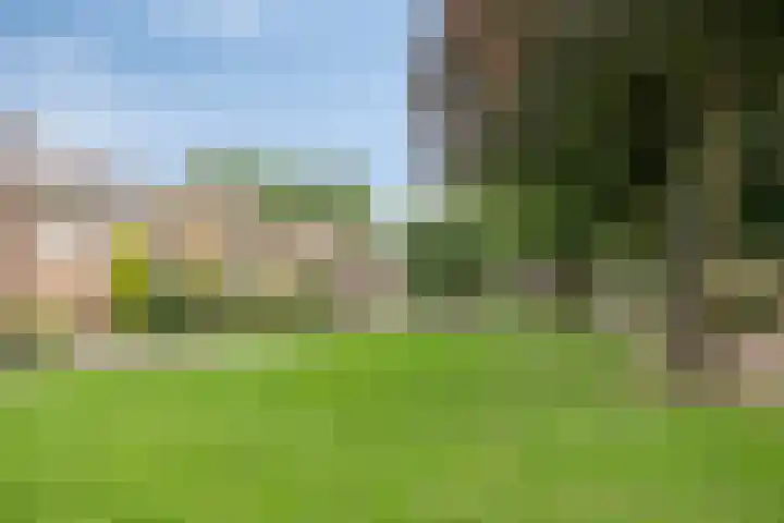 Kromstraat 34 Nistelrode thumbnail 49
