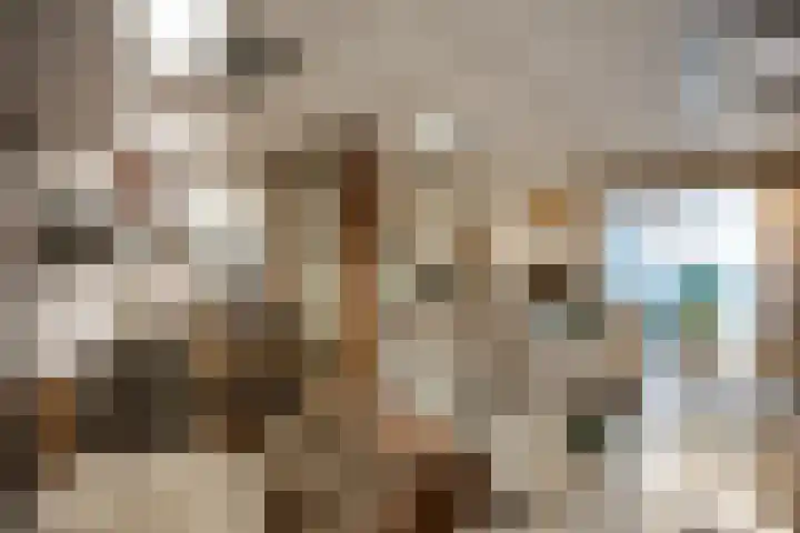 Kromstraat 7 Oss thumbnail 10