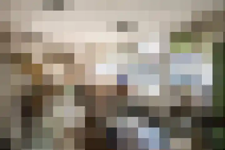 Kromstraat 7 Oss thumbnail 7