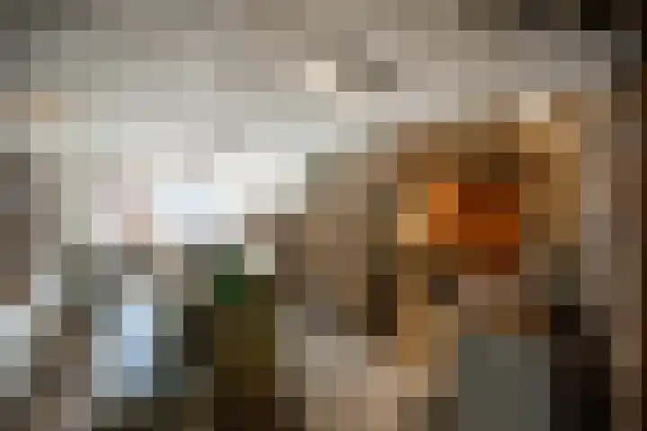 Kromstraat 7 Oss thumbnail 9