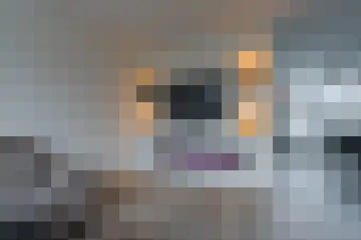Kromwijkerkade 59 E Woerden thumbnail 8