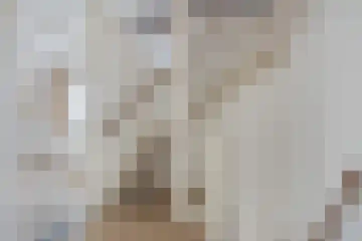 Kronkelbaan 22 Abbekerk thumbnail 26