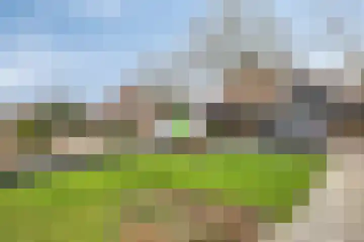 Kronkelbaan 22 Abbekerk thumbnail 38