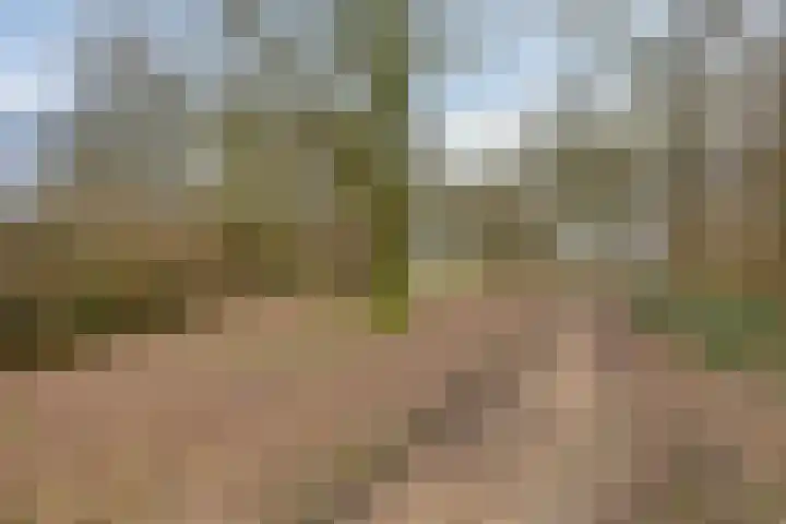 Kronkelbaan 22 Abbekerk thumbnail 42