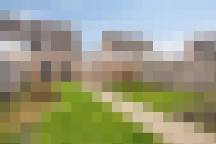 Kronkelbaan 22 Abbekerk thumbnail 5