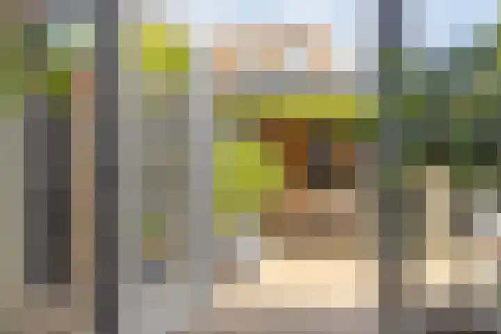 Kronkelwilg 4 Kampen thumbnail 12