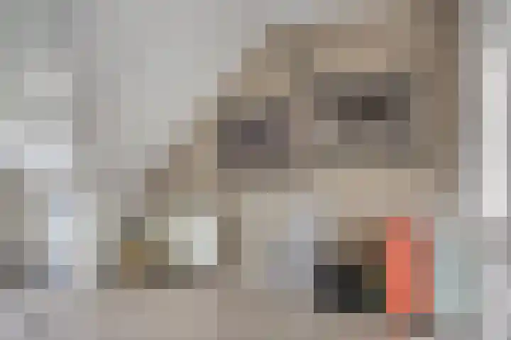 Kronkelwilg 4 Kampen thumbnail 24
