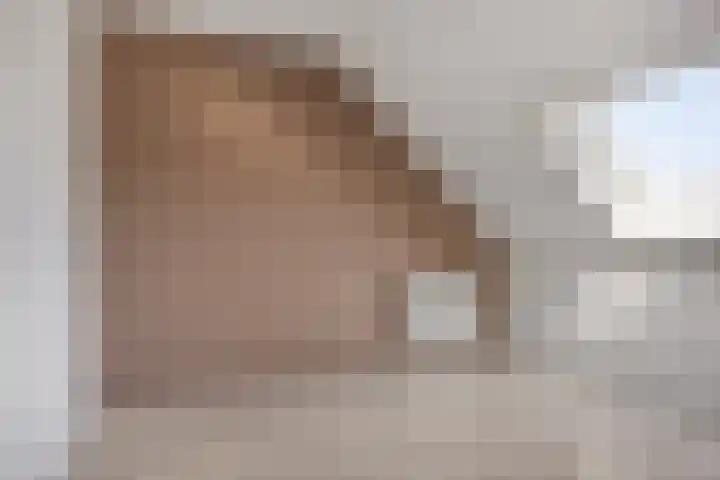 Kronkelwilg 4 Kampen thumbnail 25