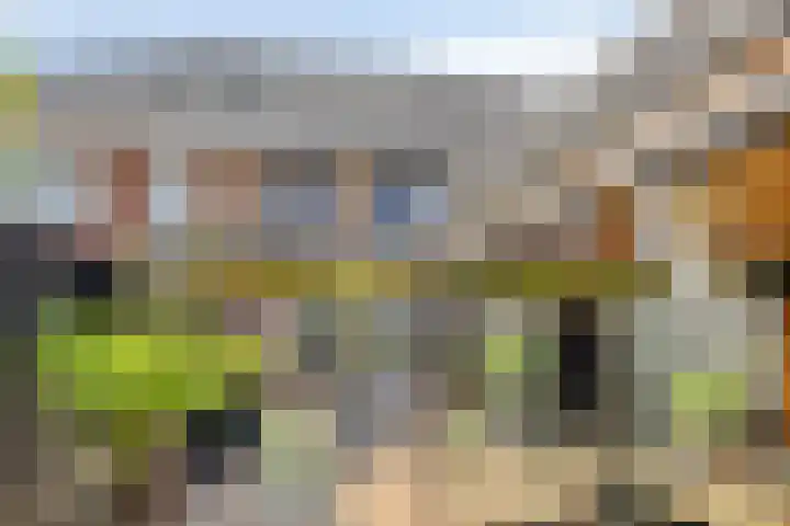 Kronkelwilg 4 Kampen thumbnail 29
