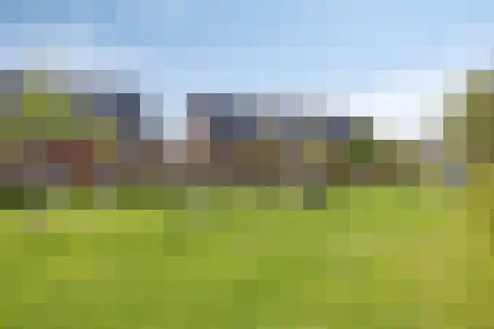 Kronkelwilg 4 Kampen thumbnail 35