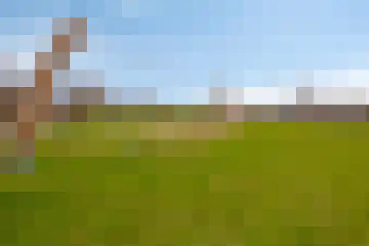 Kronkelwilg 4 Kampen thumbnail 36