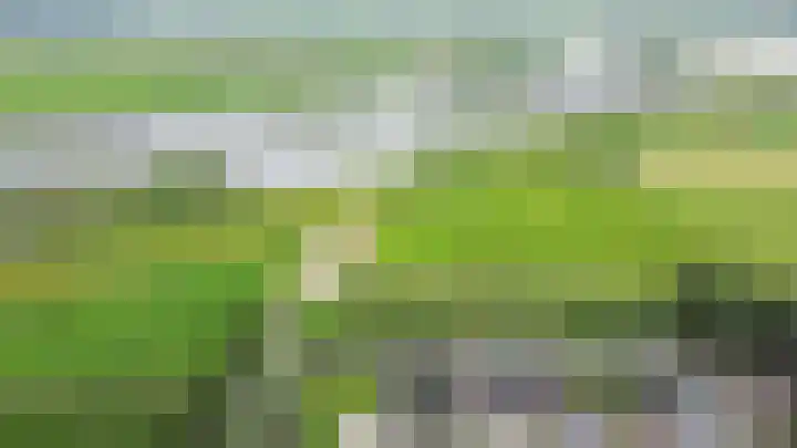 Kronkelwilg 4 Kampen thumbnail 40