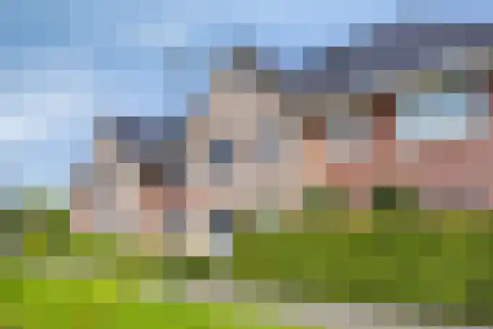 Kronkelwilg 4 Kampen thumbnail 42