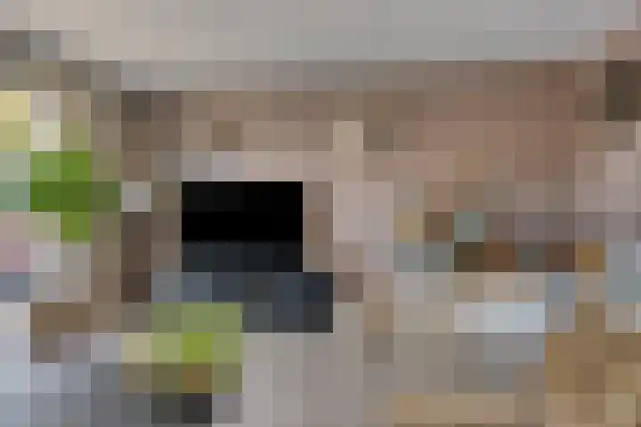 Kronkelwilg 4 Kampen thumbnail 7