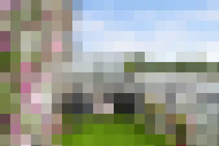 Kroon 26 Rhoon thumbnail 20