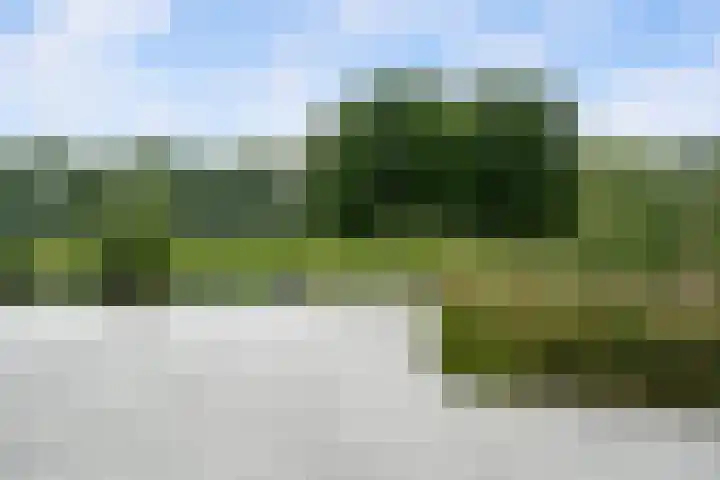 Kroon 26 Rhoon thumbnail 24