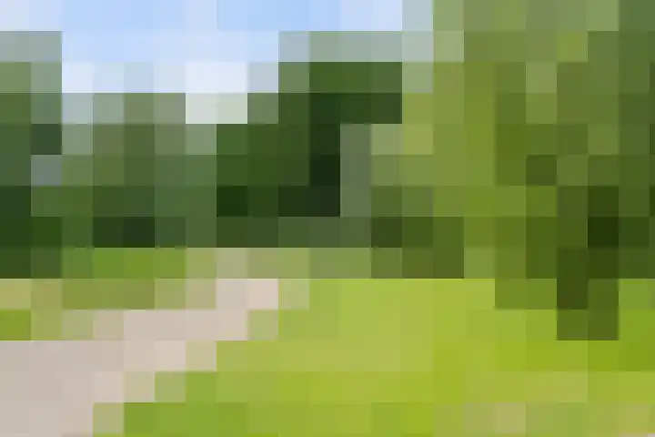 Kroon 26 Rhoon thumbnail 6