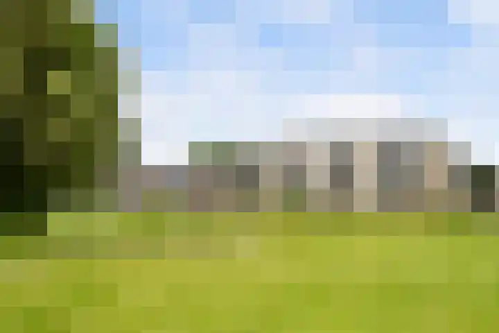 Kroon 26 Rhoon thumbnail 7